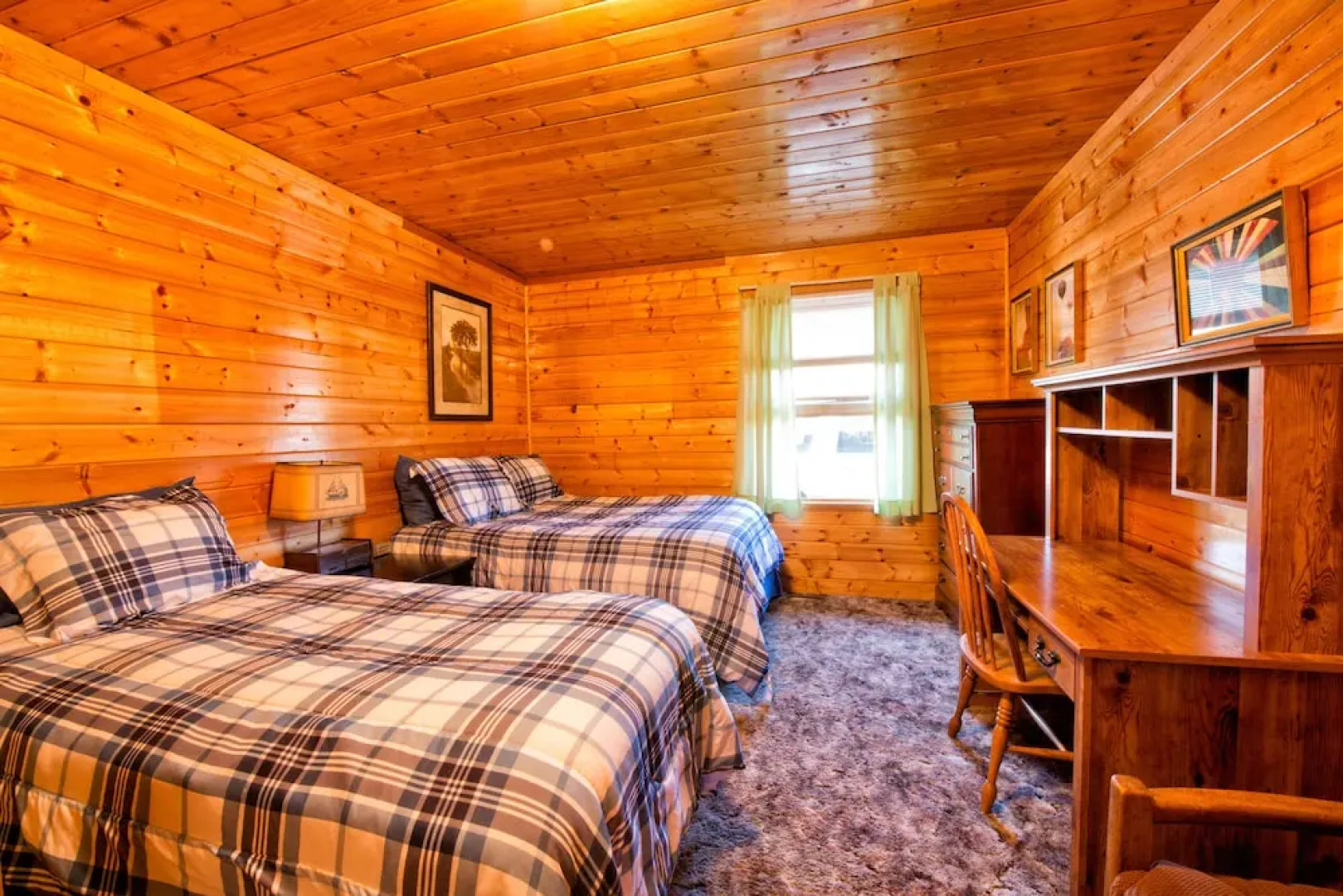 Wild Skies Cabin Rentals in Craig