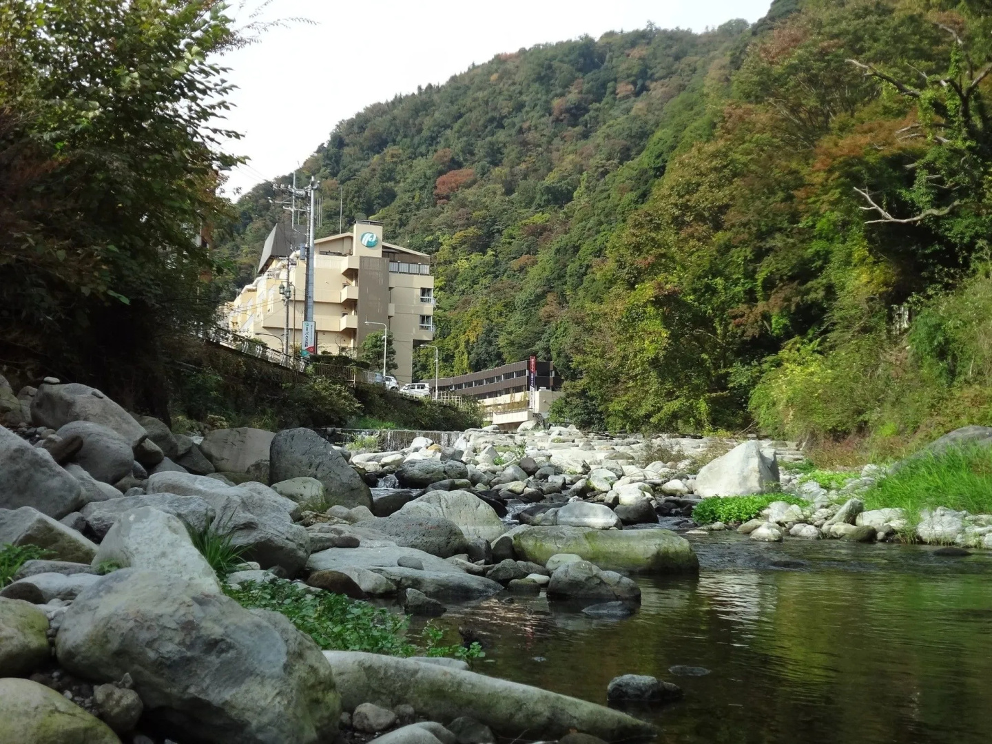 Hakone Pax Yoshino