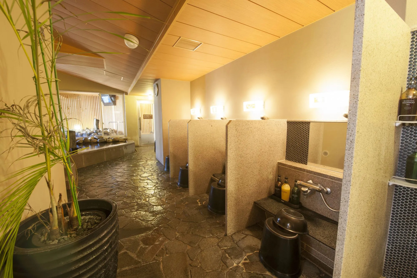 Dormy Inn Tsu Natural Hot Spring