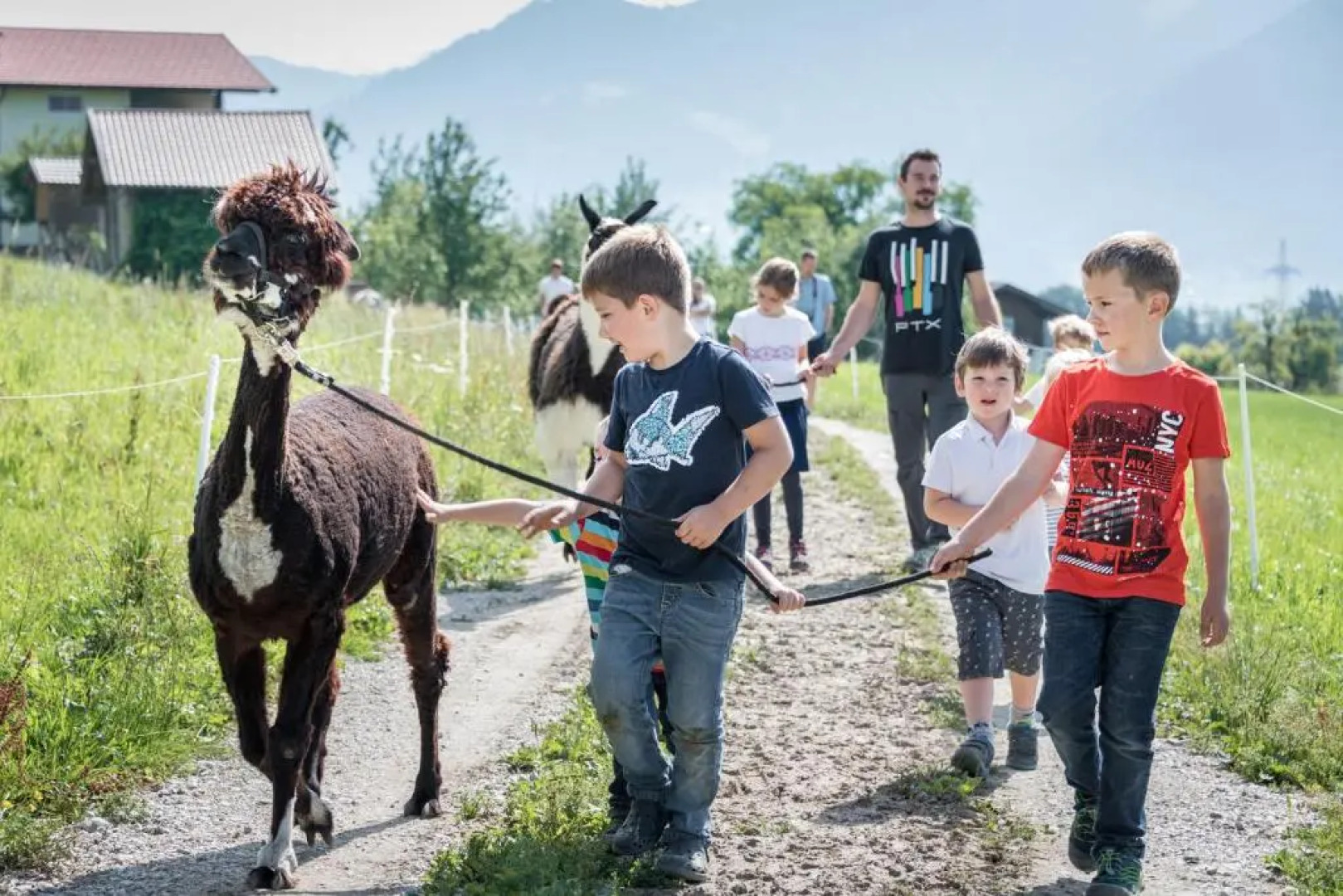 Ferienwohnungen Plattnerhof