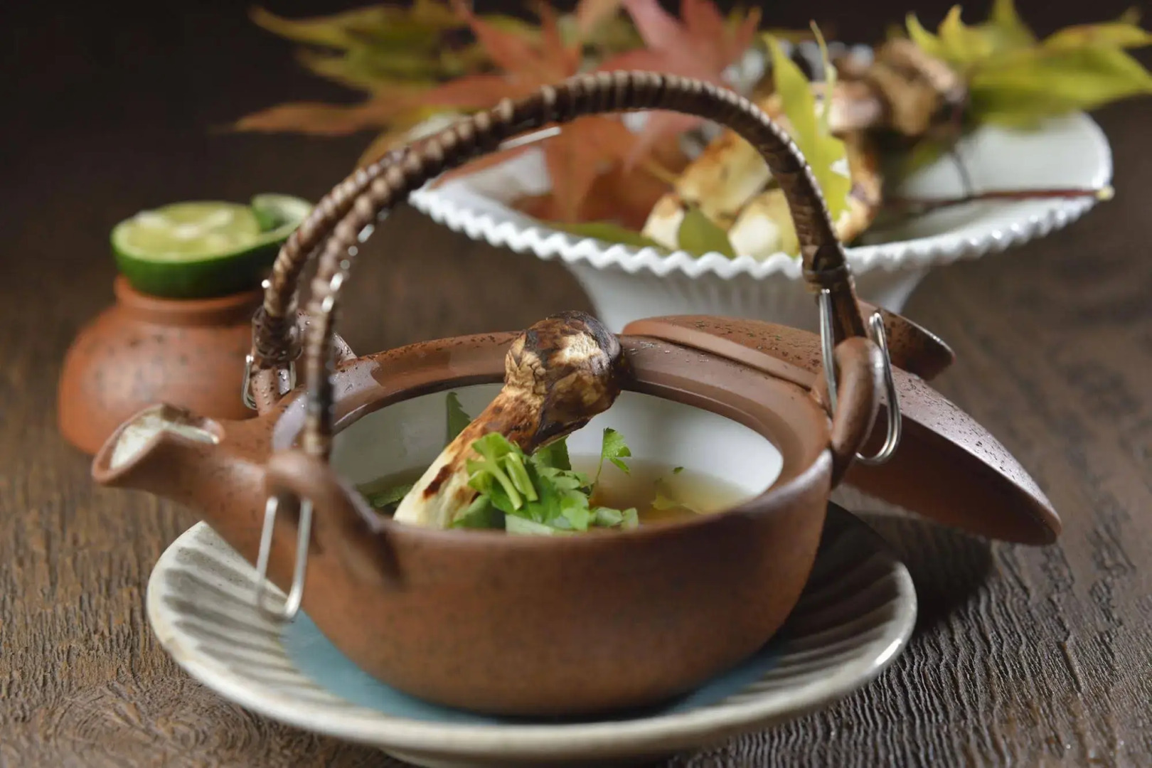 Mashikokan Satoyama Resort Hotel