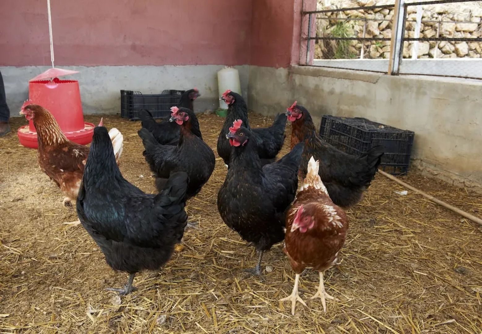 Masia Heredad La Boquilla