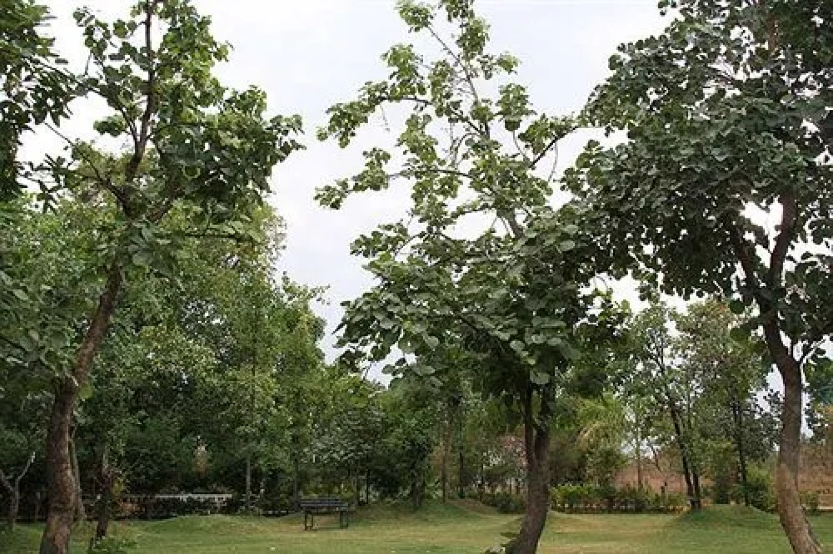 United-21 Jungle Resort Pench