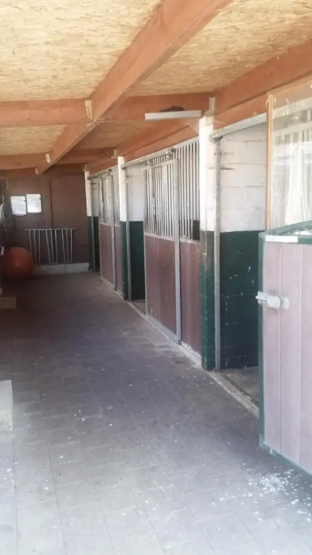 King of Gold Stables appartement met stalling voor 5 paarden