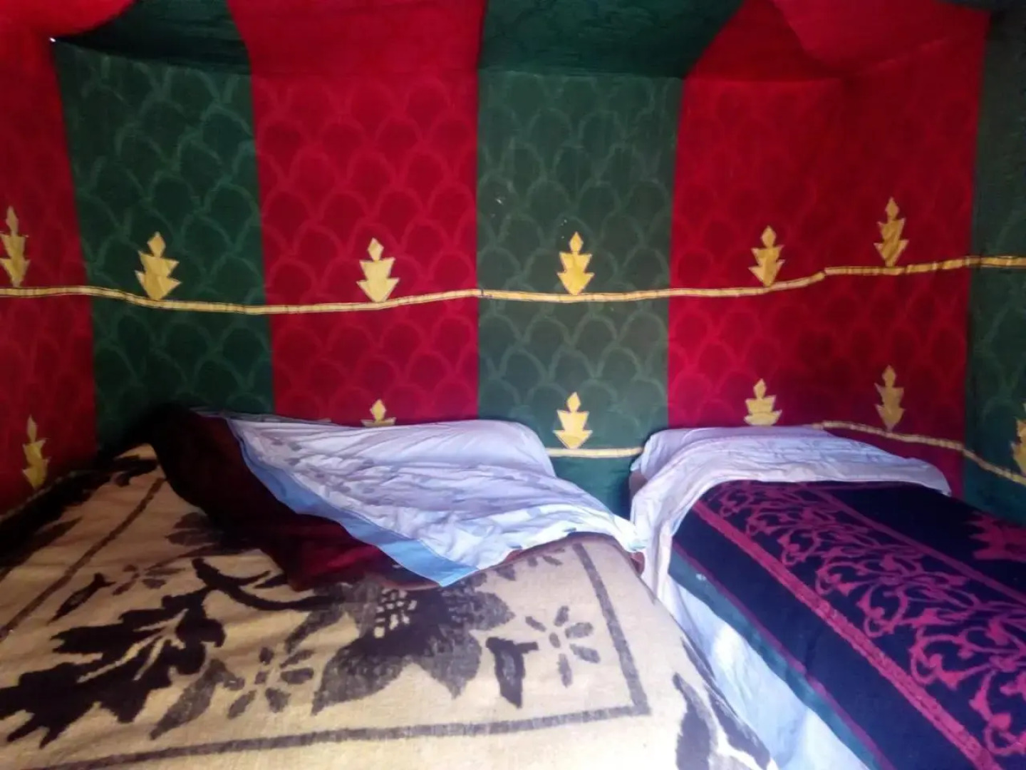 Nomadic Desert Camp Tours