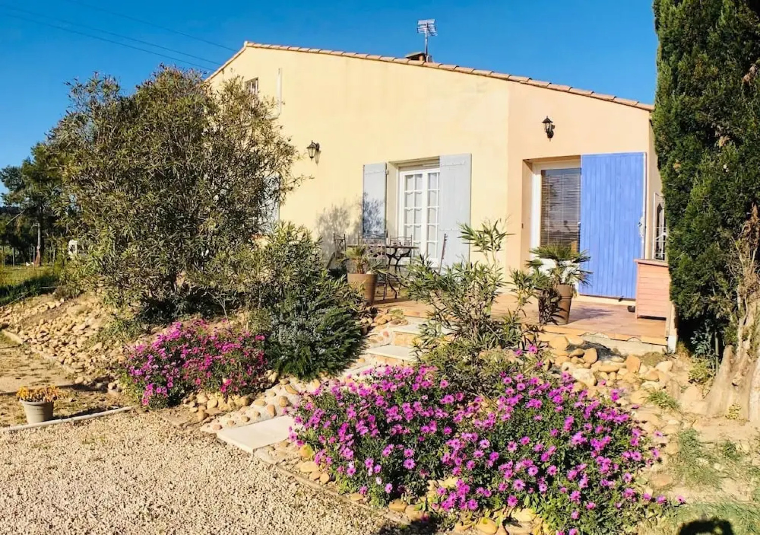 Le Cyprès de Casimir