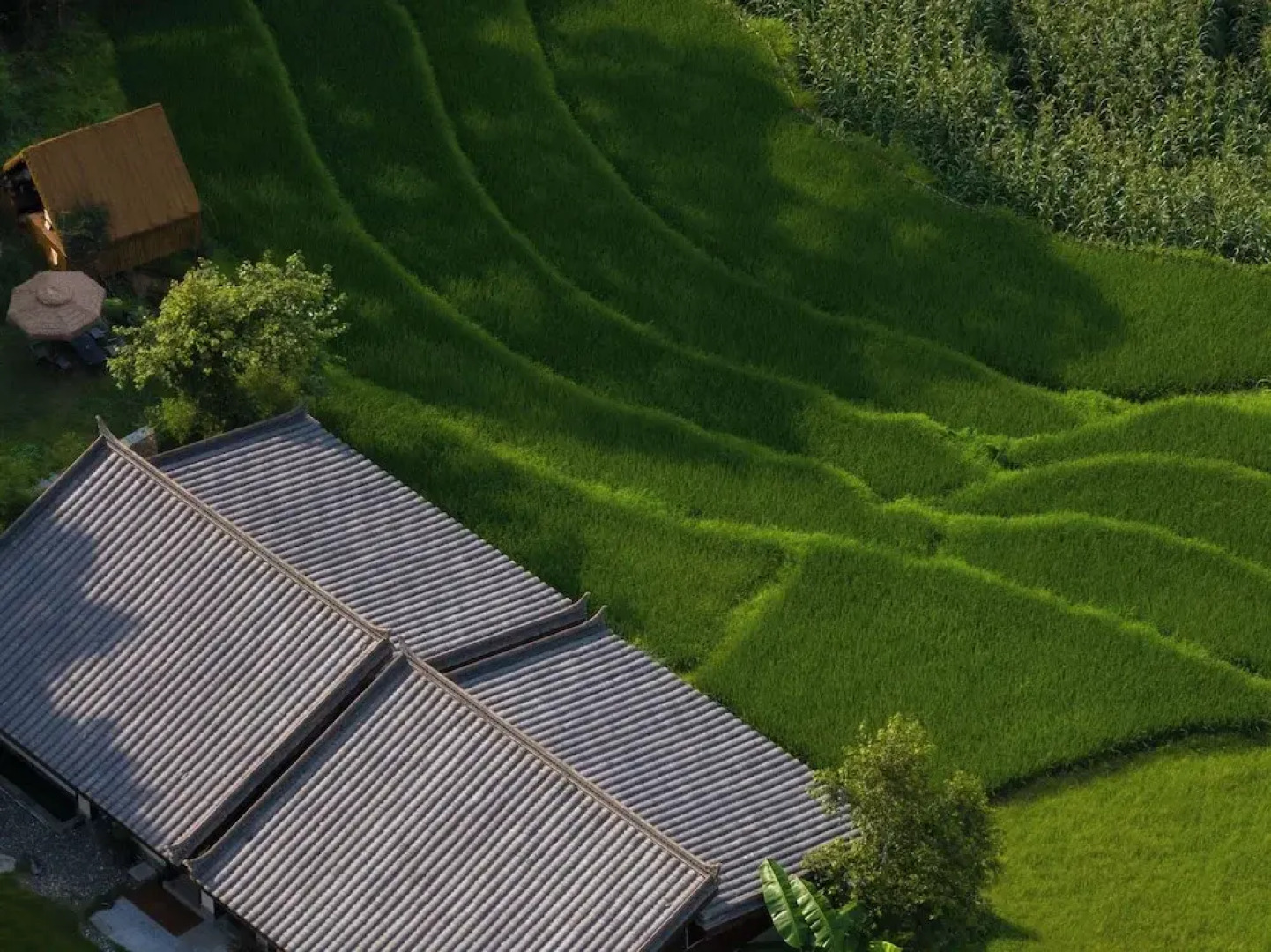 Zhensu Canyon Sanctuary