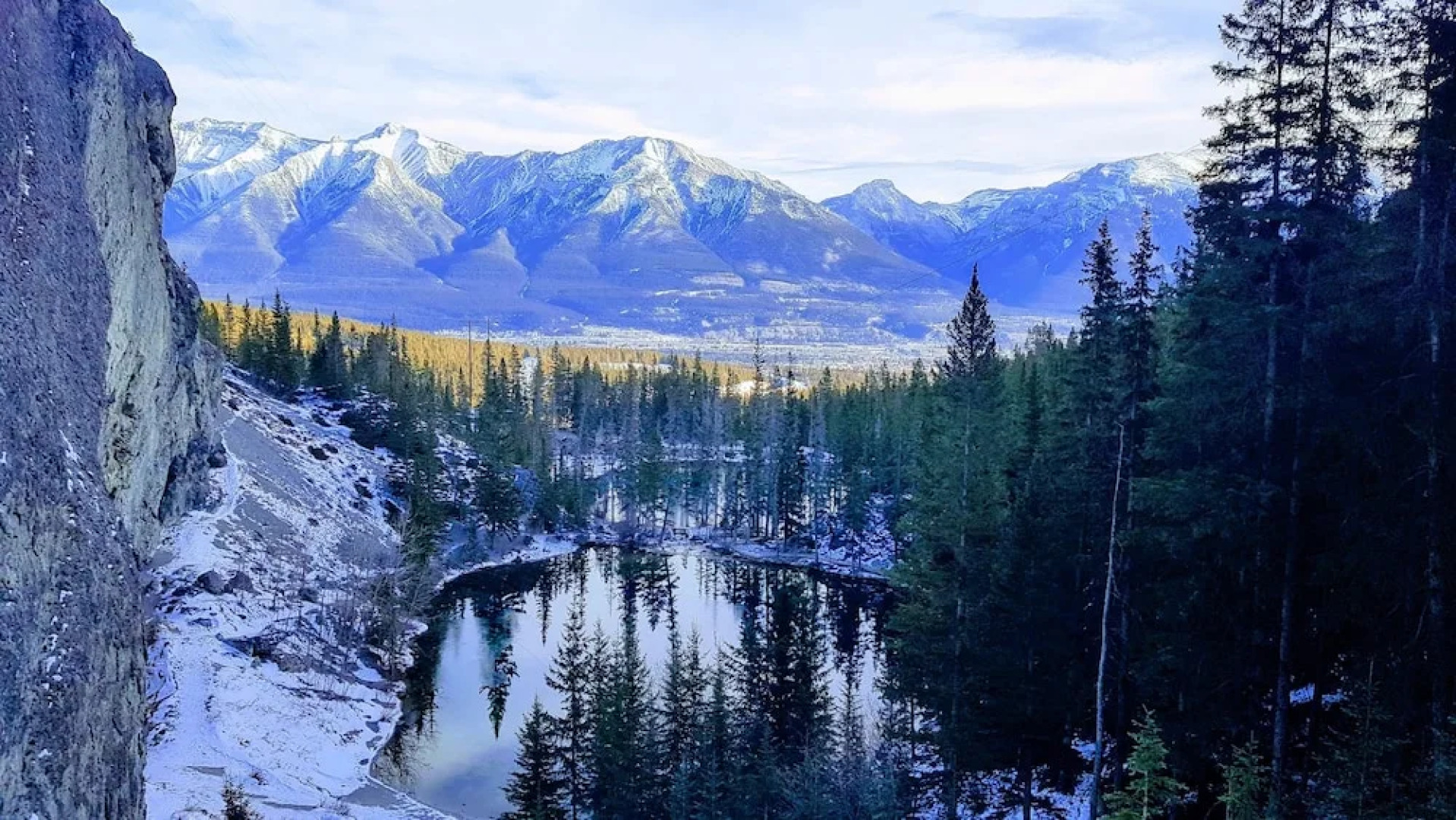 PRC Annex - Pet Friendly