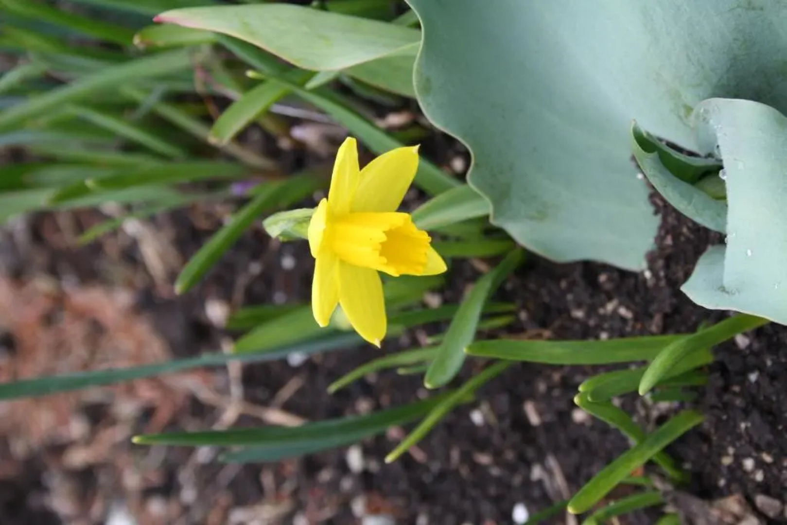 Wirtseppelerhof Apartments