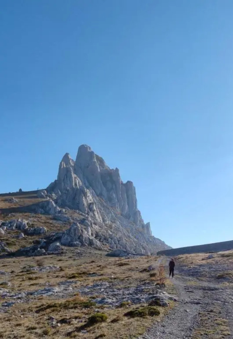 Apartments Villa Barić