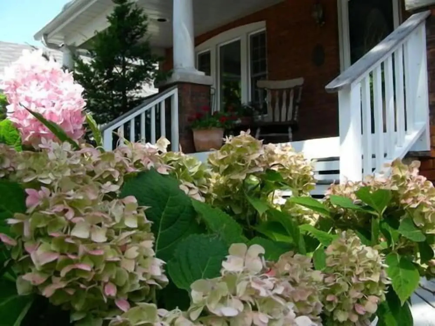 Simcoe Suites on the Henley B&B