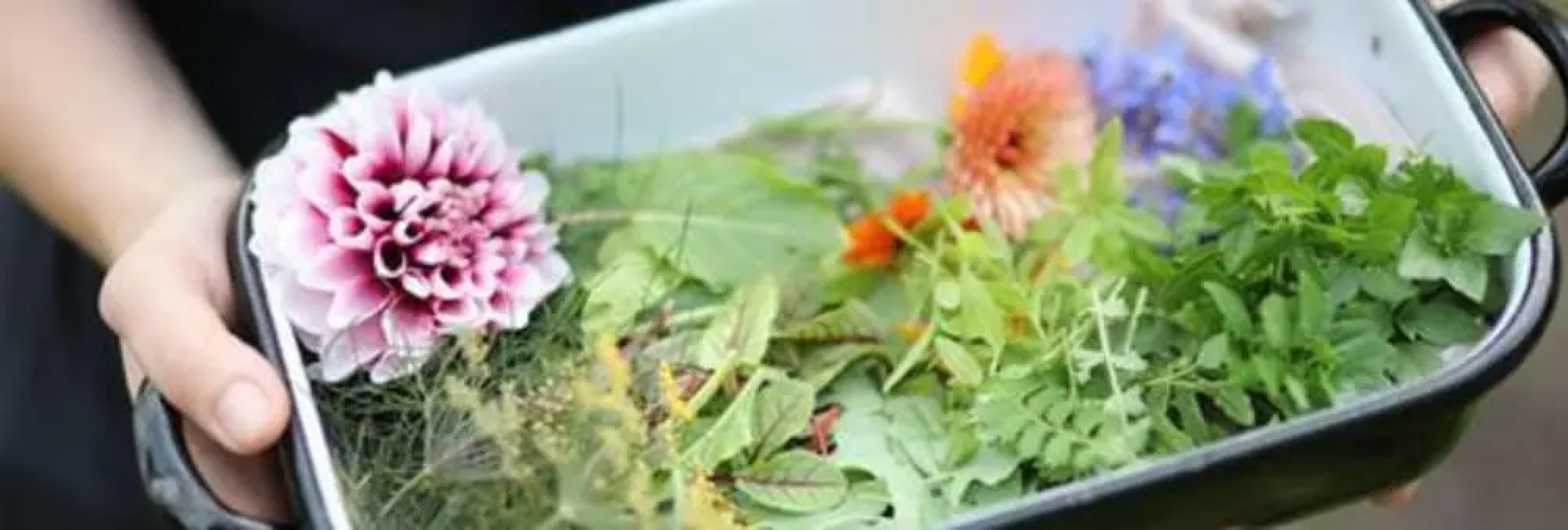 Romantik Hotel Spielweg