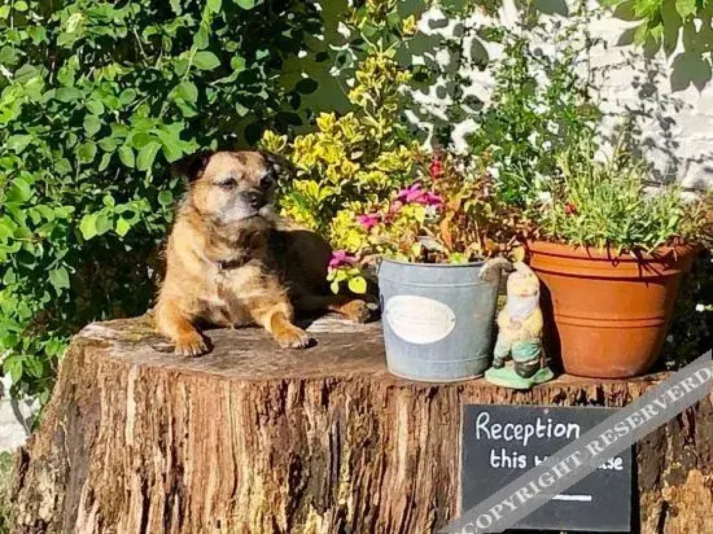 Ty Derw Country House B&B