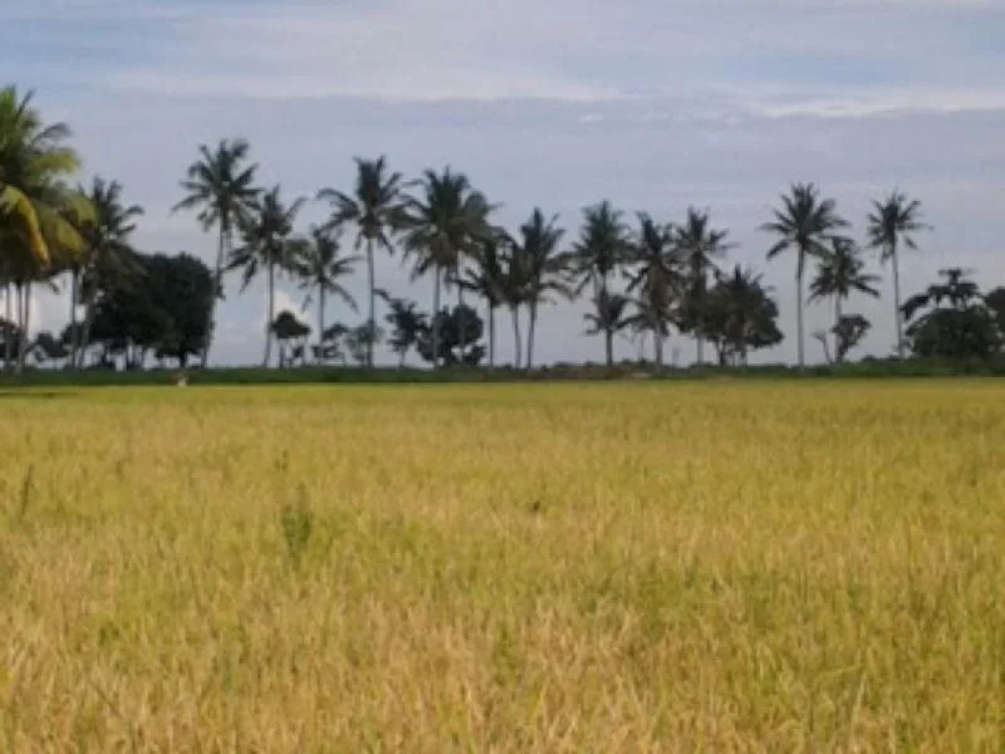 Village Corner Homestay