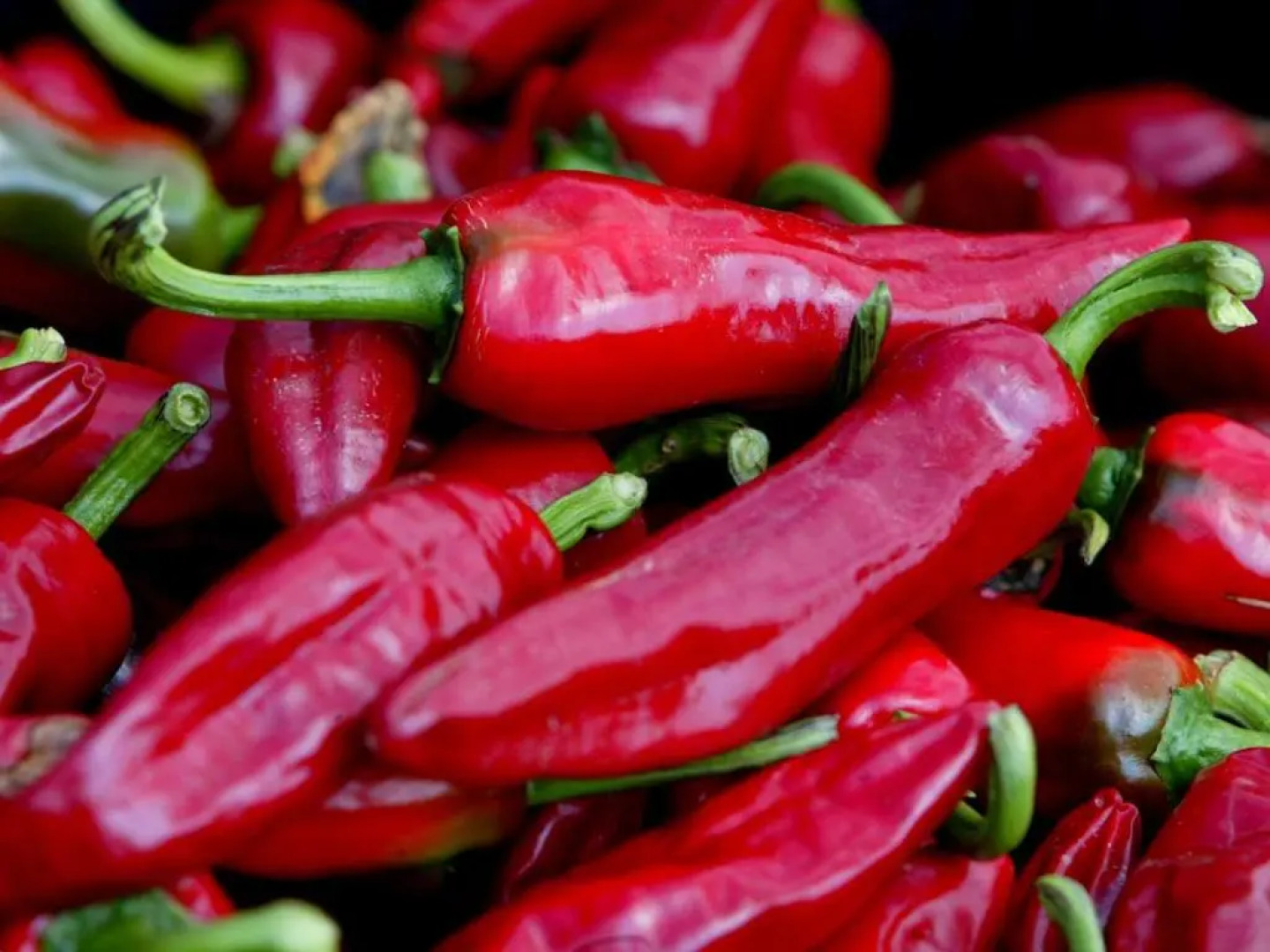 Gîte Hasparren, 4 pièces, 6 personnes - FR-1-384-701