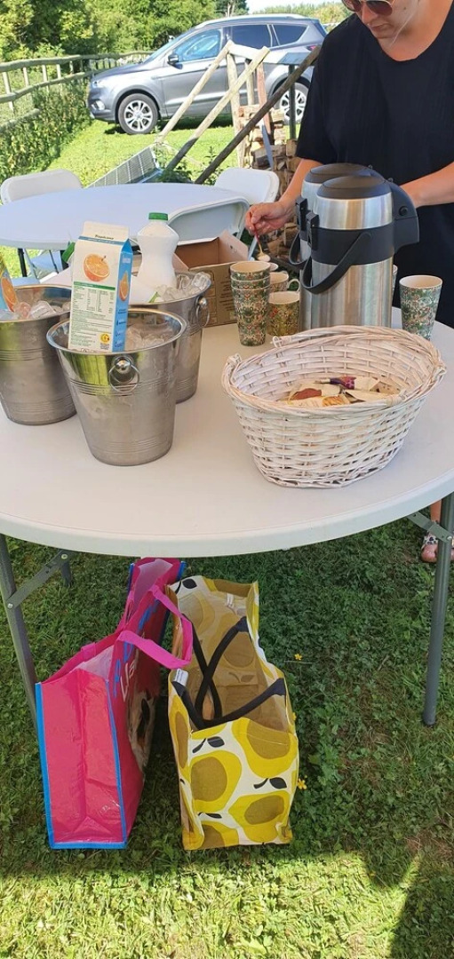 Glamping With Llamas