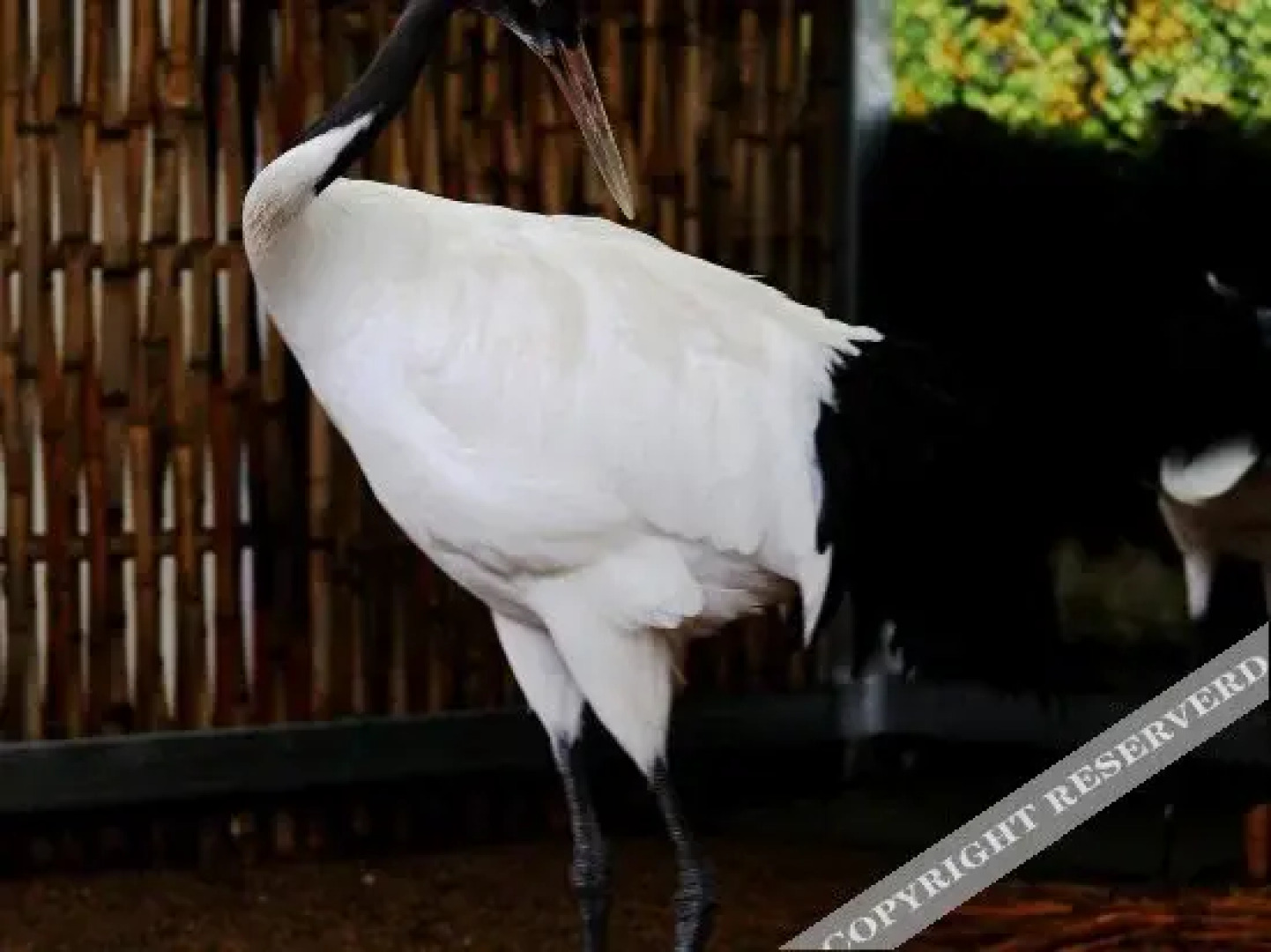 Tiantaishan Hotspring Resort Villa