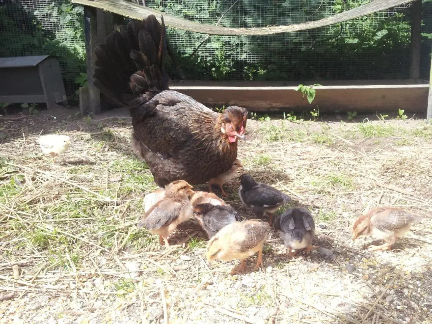 Øvej 18 Holiday House