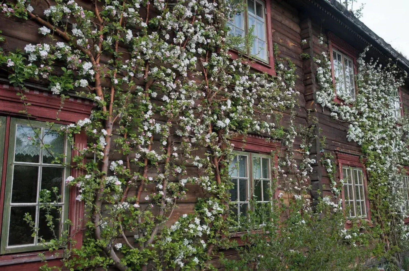 Saga Trollheimen Hotel