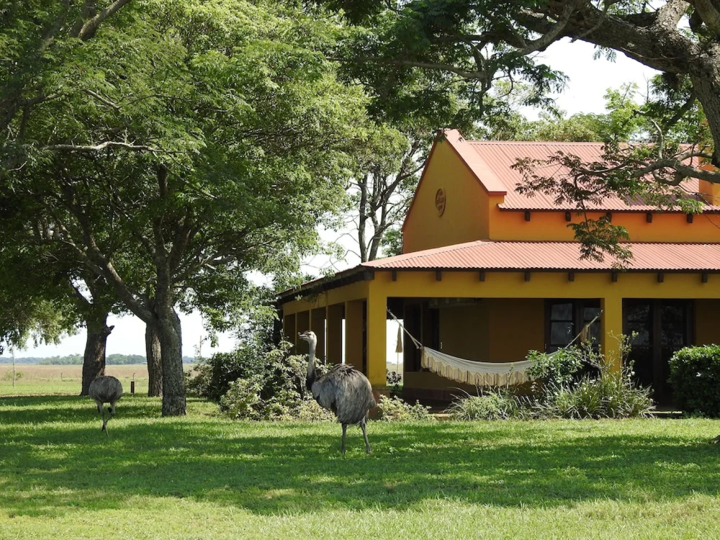 El Tránsito Hotel Boutique