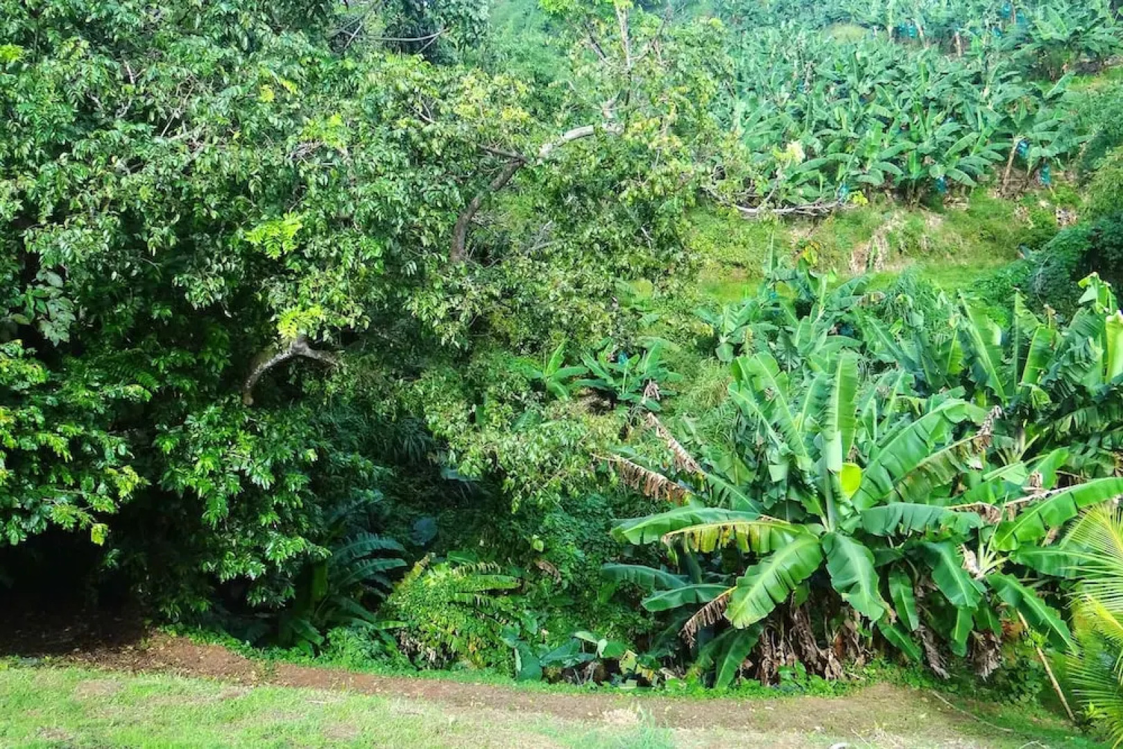 Villa With 2 Bedrooms in Le Lorrain, With Private Pool, Enclosed Garden and Wifi