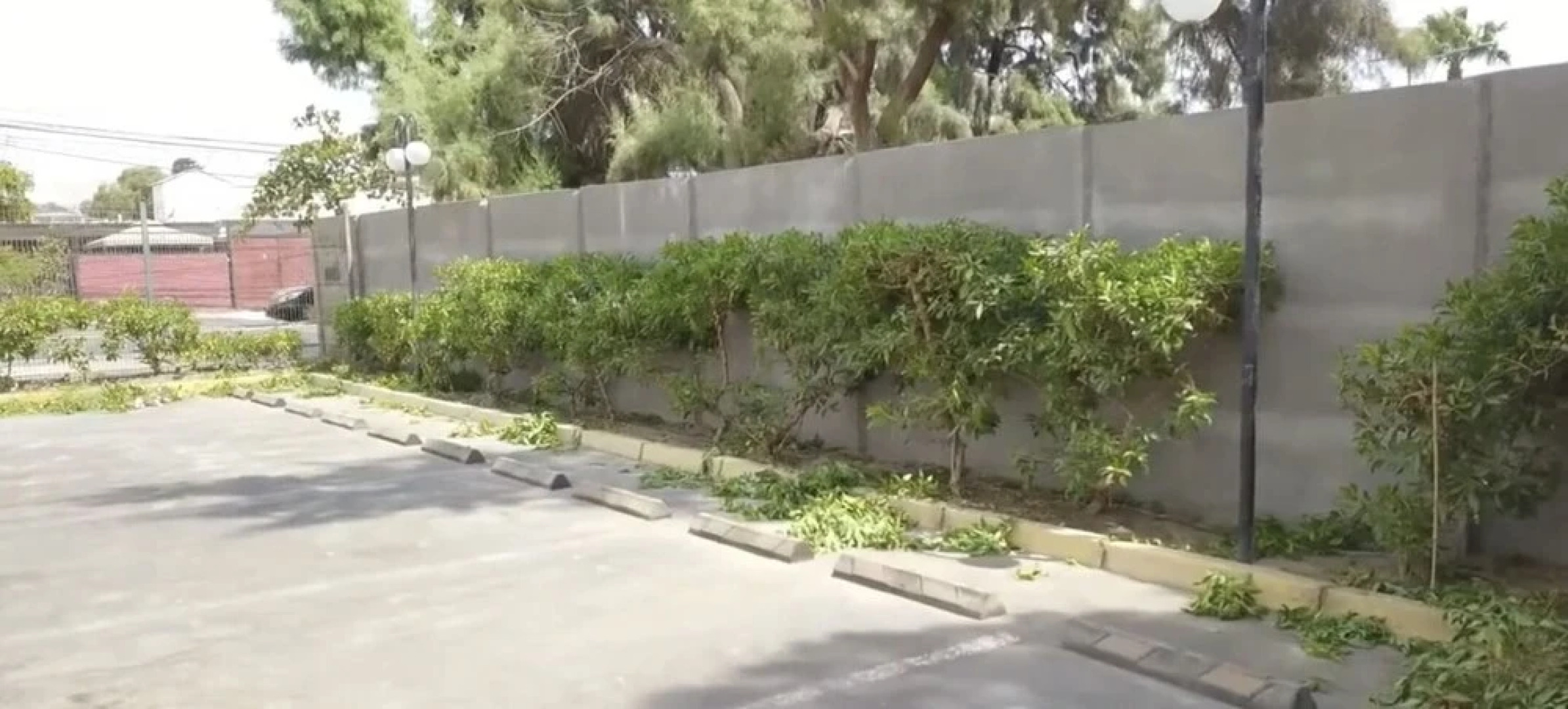 Pacifico Arica Parque Socoroma