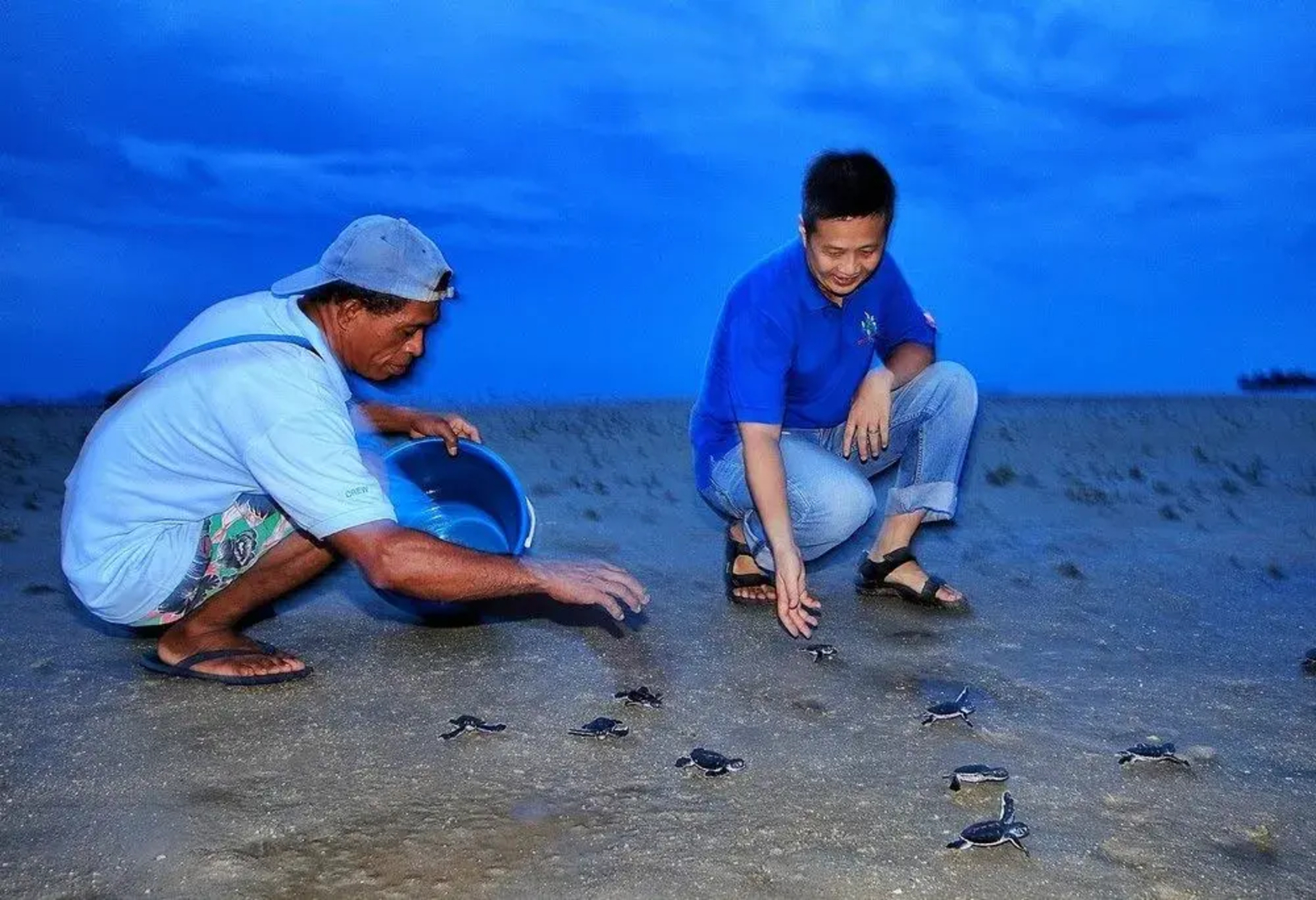 Walai Penyu Resort - Campground