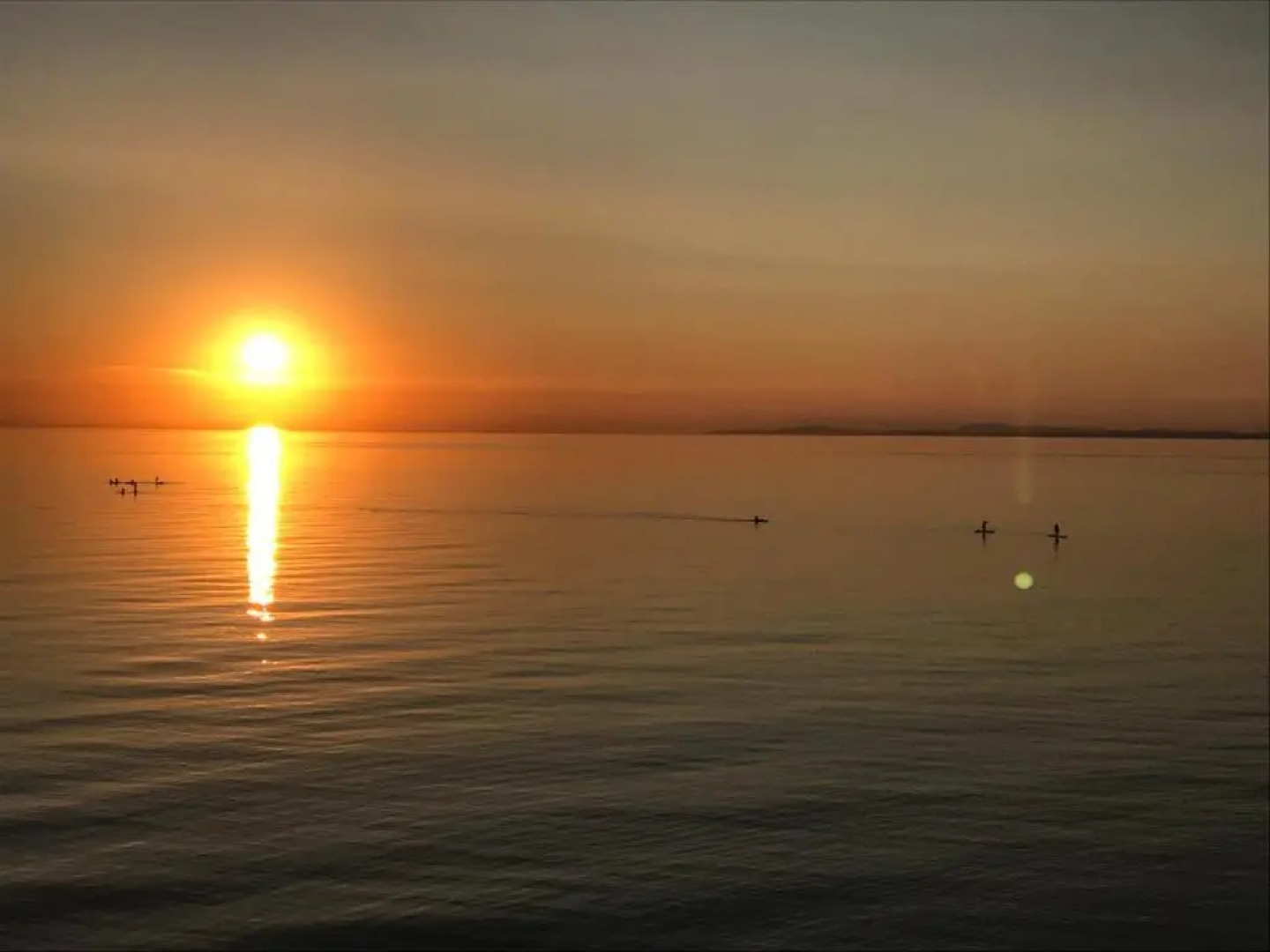 Queen Street Apartments