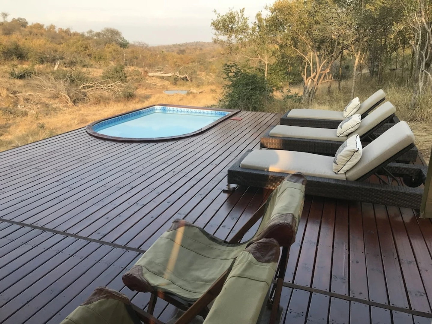 Ximongwe Safari Camp