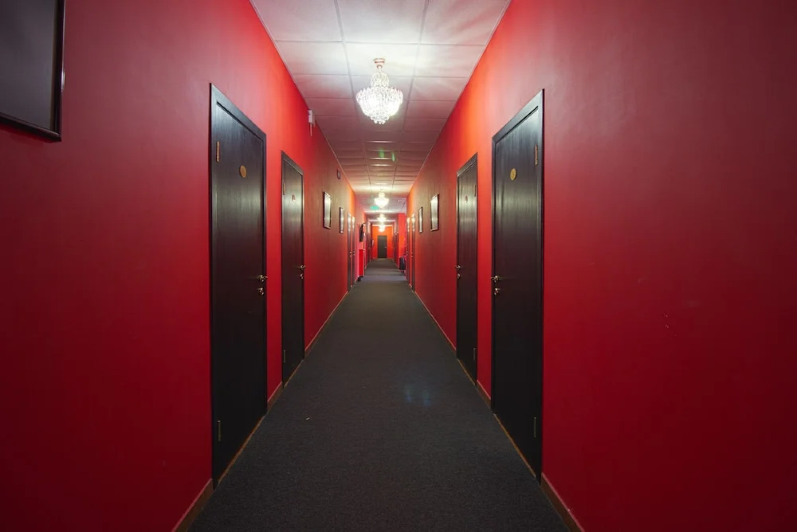  Отель Оазис в Лесу