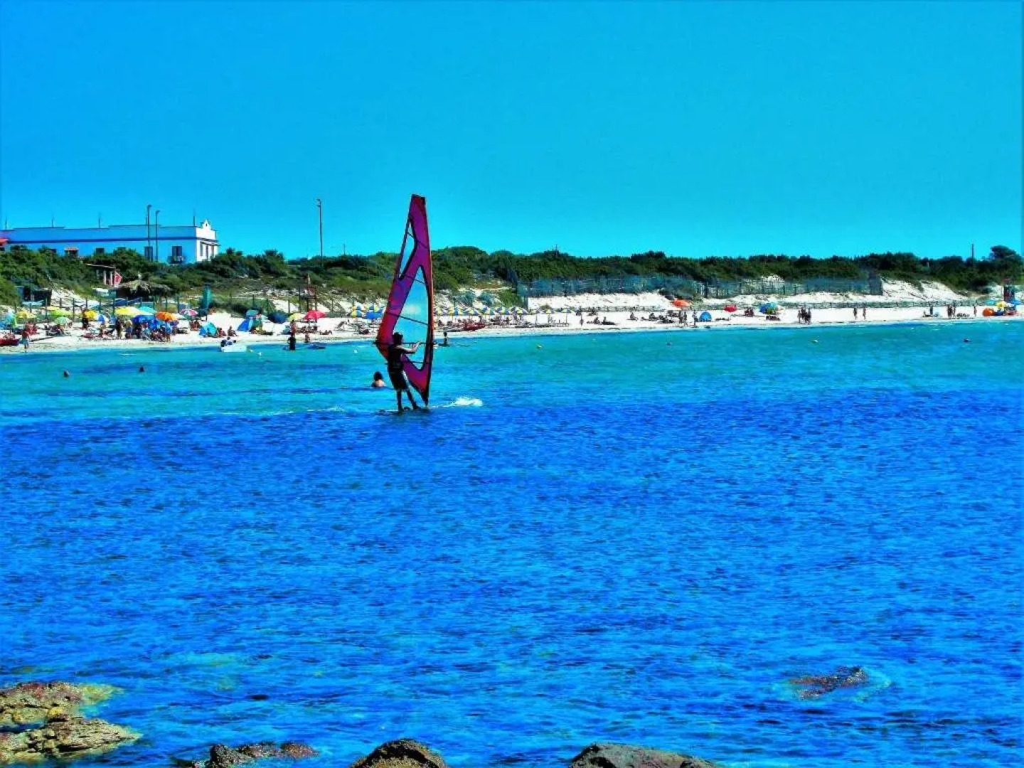 Pineta Spiaggia Grande 2