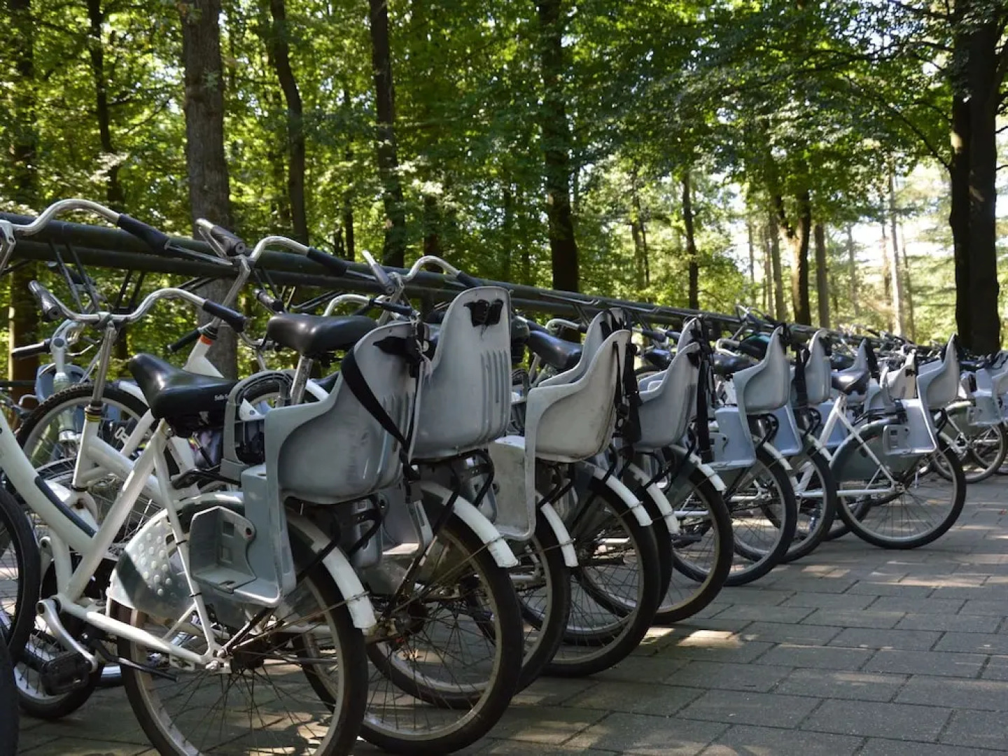 Spacious Chalet With Enclosed Garden in Small-scale Holiday Resort Adjacent to Forest