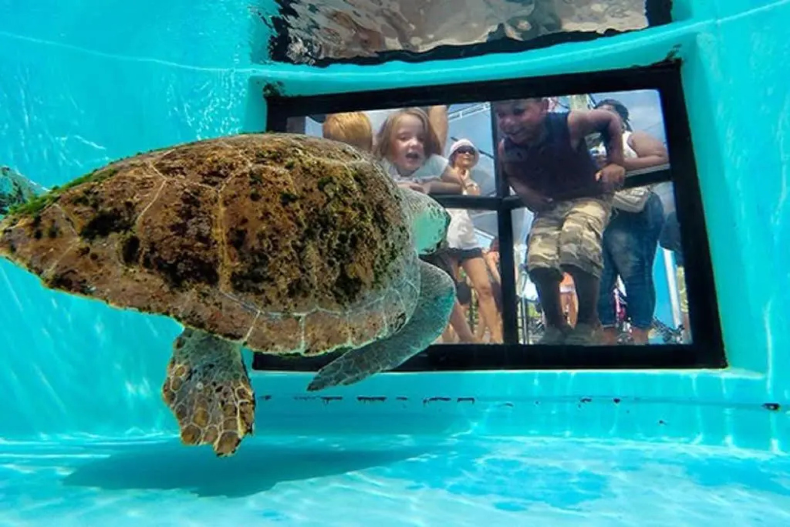 Guest Suite Paradiso by DIGSIFY Self Check in Private Entrance King Bed Free Parking Near PGA Beaches Roger Dean Stadium Fitteam Ballpark