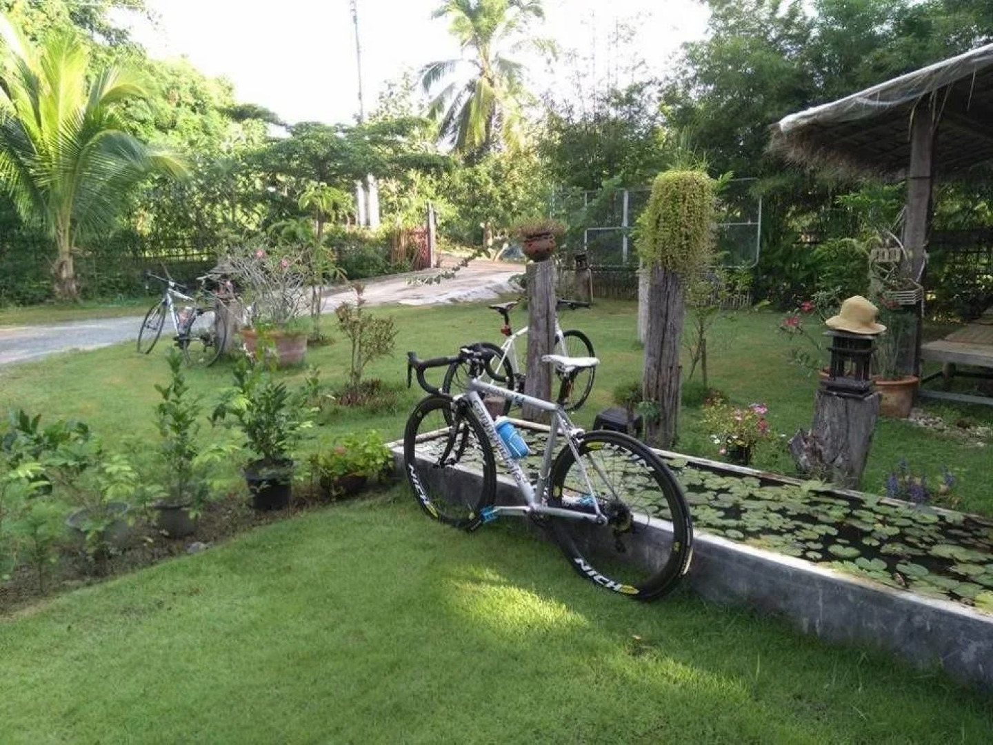 Baan Suan Rabieng Tung @ Doi Lo