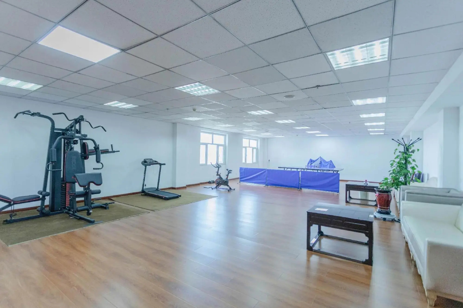 GreenTree (Wuwei Leitai Scenic Area)