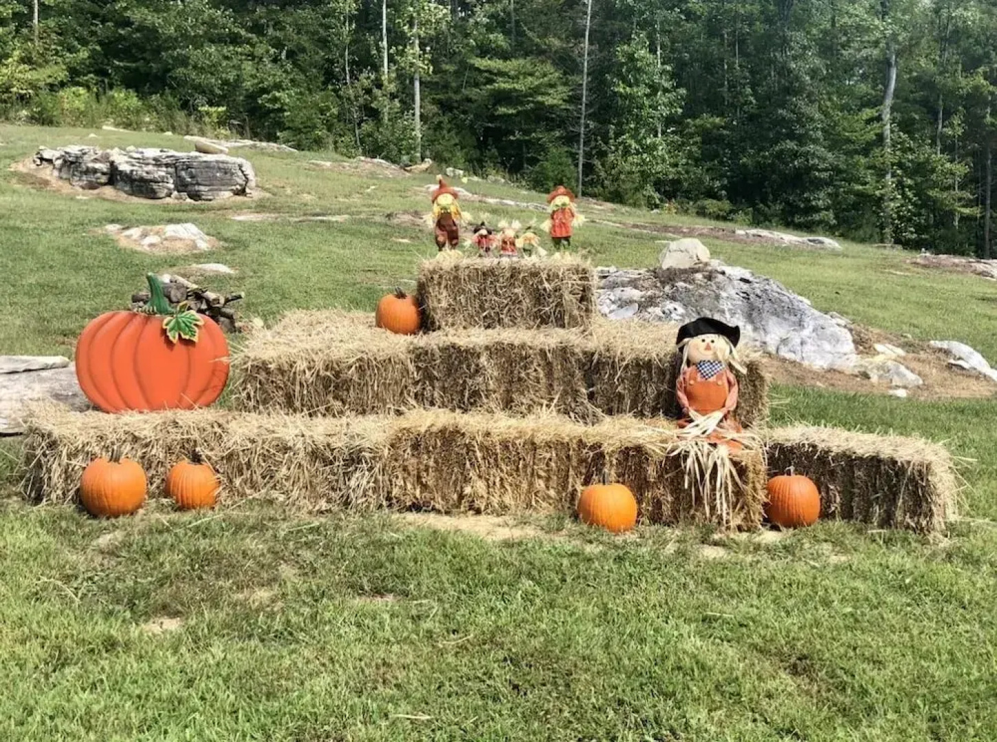 Cove Mountain Rest 3 Bedroom Home by RedAwning