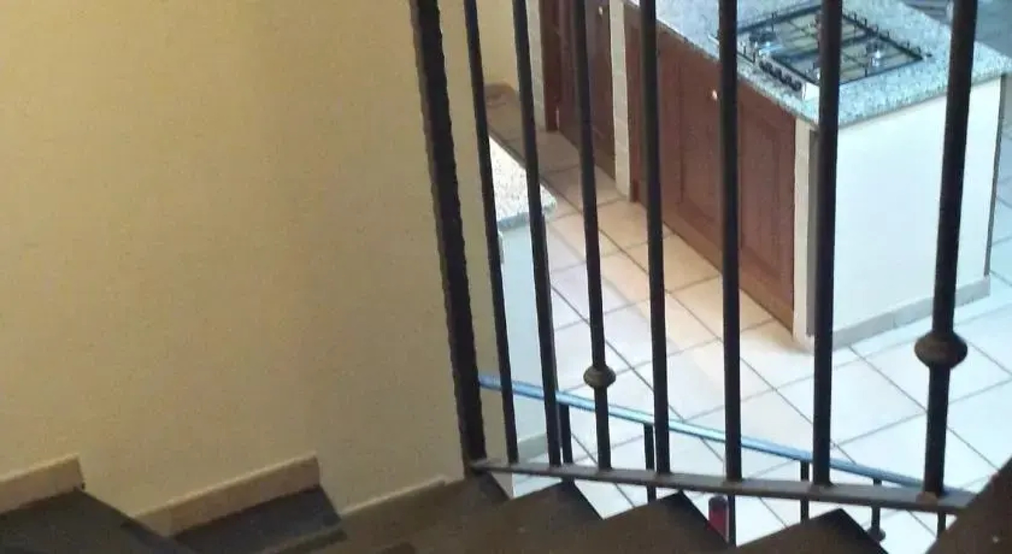 la terra degli ulivi