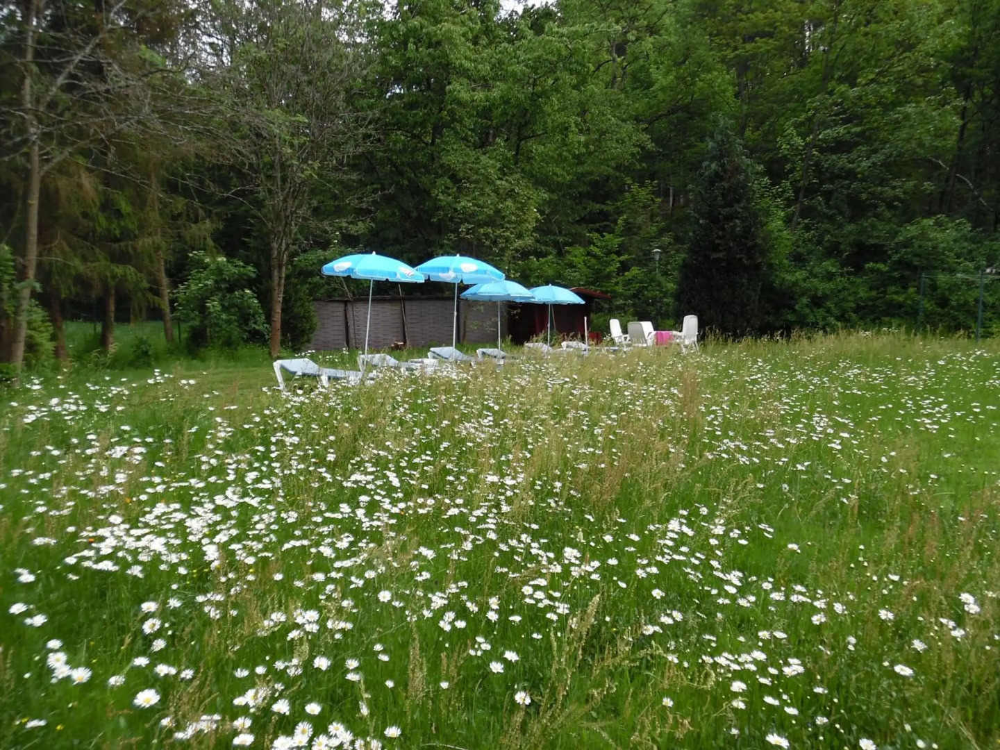 Wellness und Romantik Hotel Helmboldt