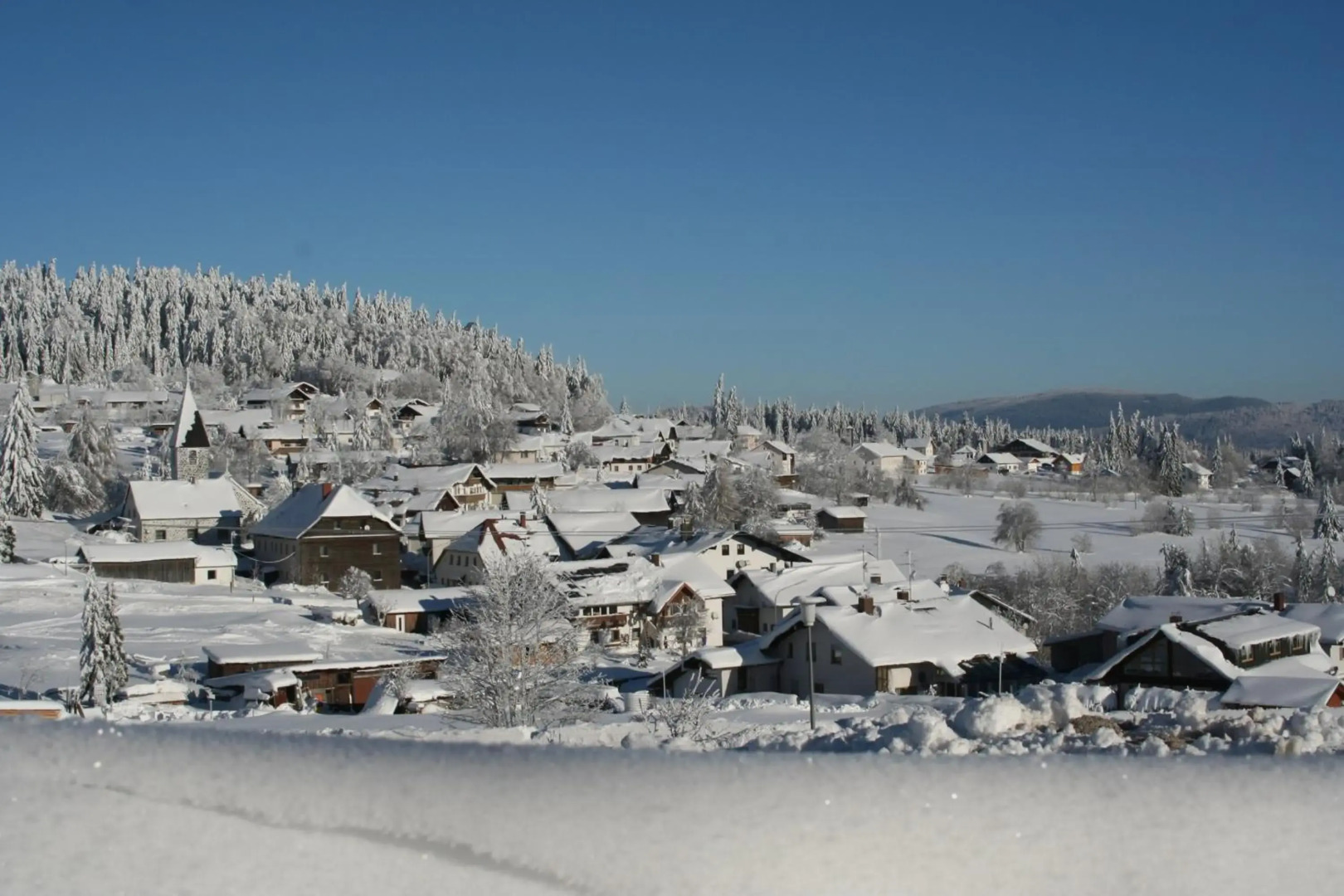 Pension Philippsreut "Zum Pfenniggeiger"