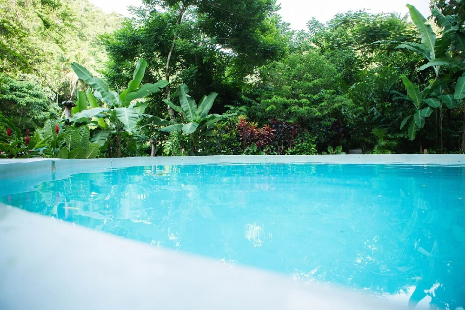 Dominican Tree House