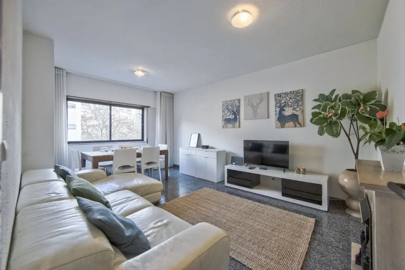 Pontinha Typical by Homing