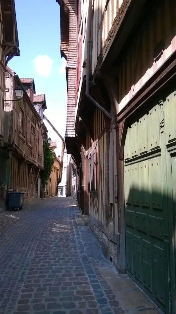 Apartment With 2 Bedrooms in Troyes, With Enclosed Garden and Wifi