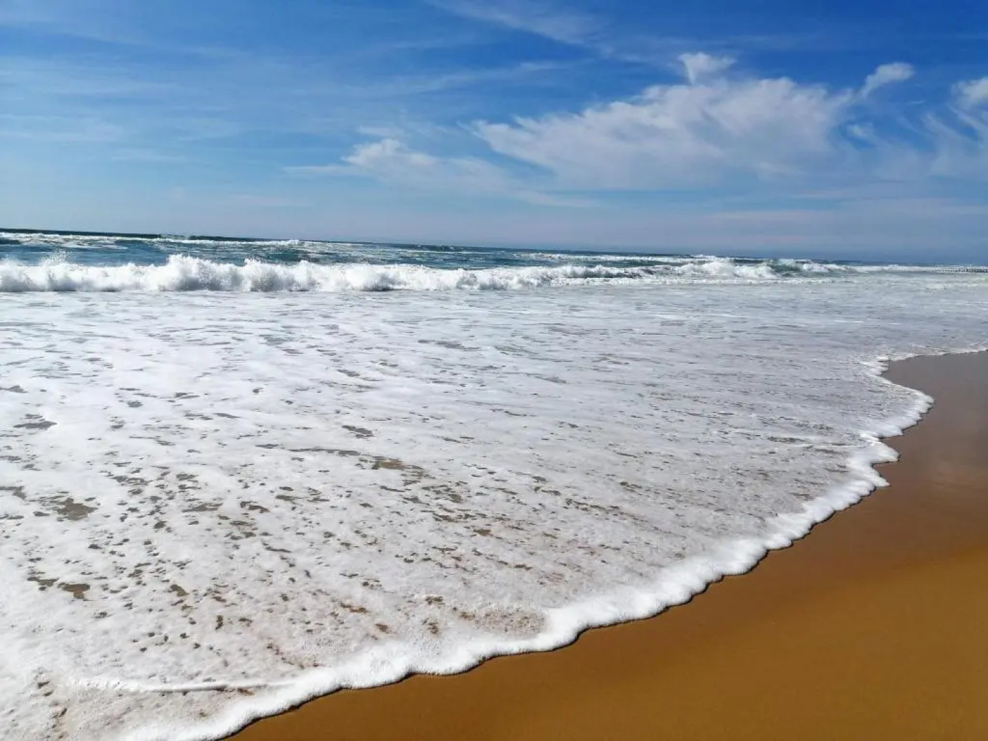 Maison Seignosse, 3 Pièces, 6 Personnes - Fr-1-239-83