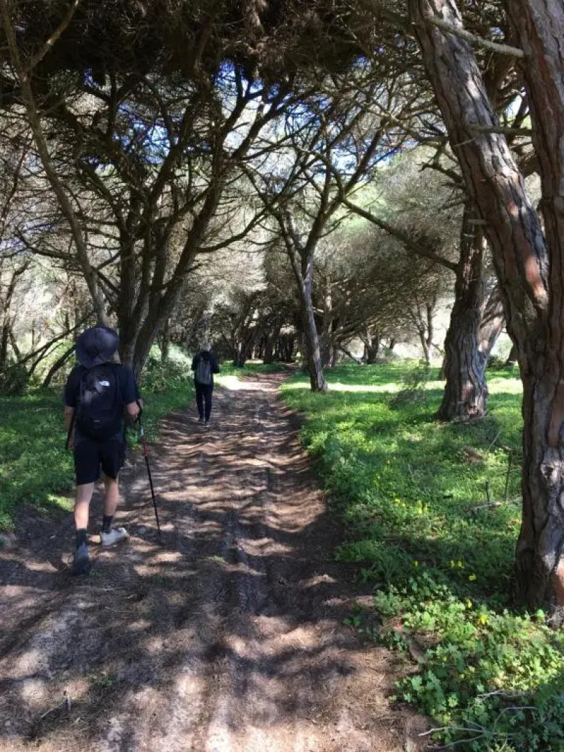 Your Vintage Townhouse