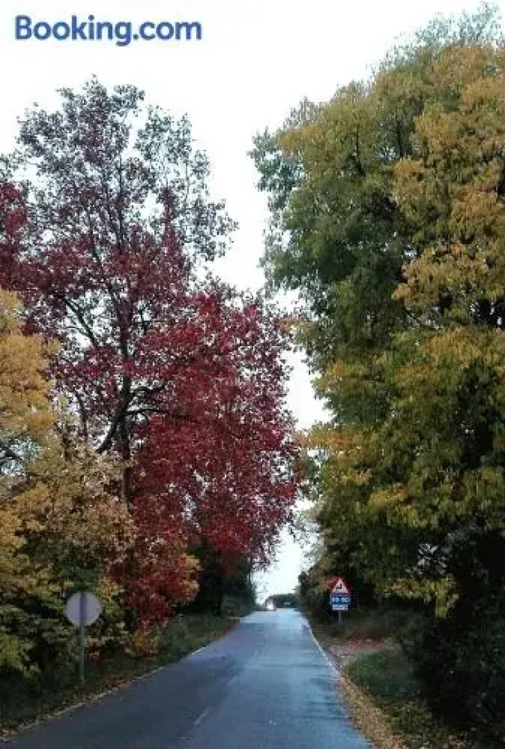 Apartamento Rural la Plaza Vieja