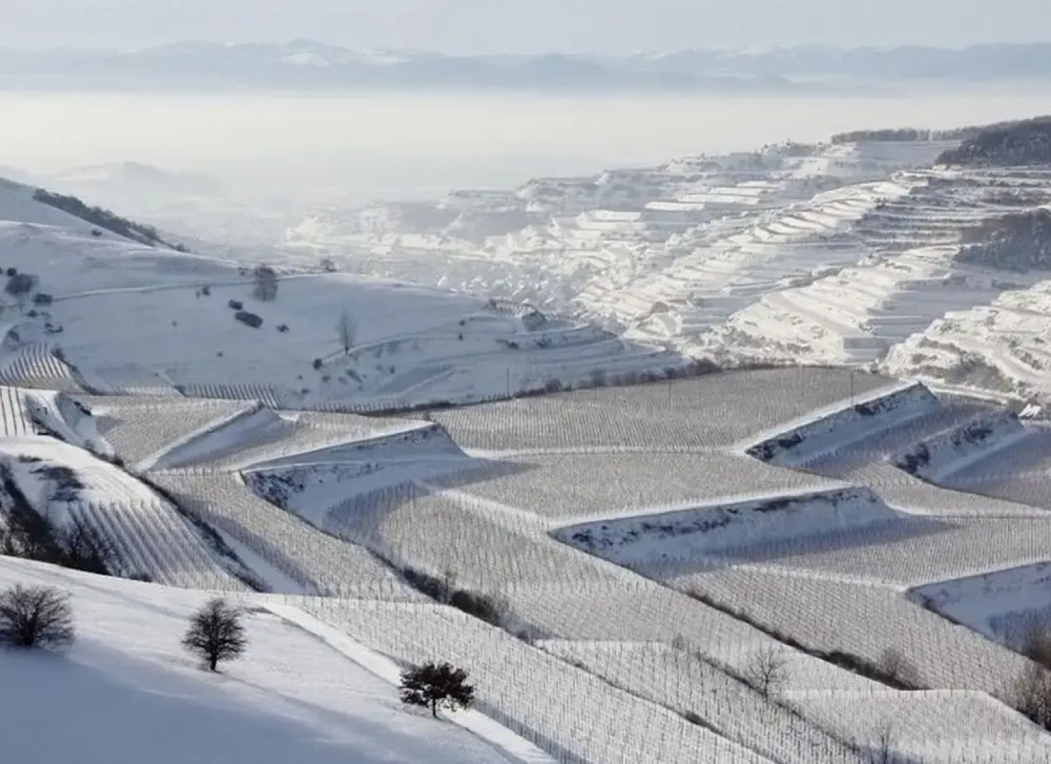 Savoir Vivre Modern Retreat