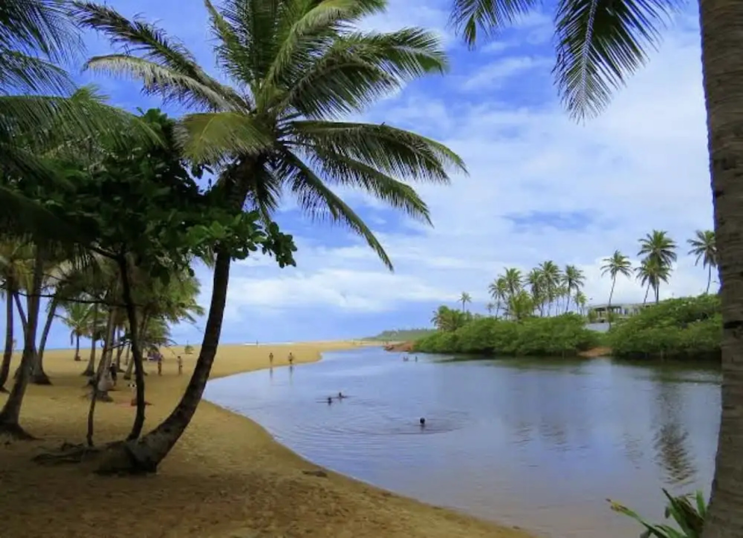 Um Lugar no Paraíso