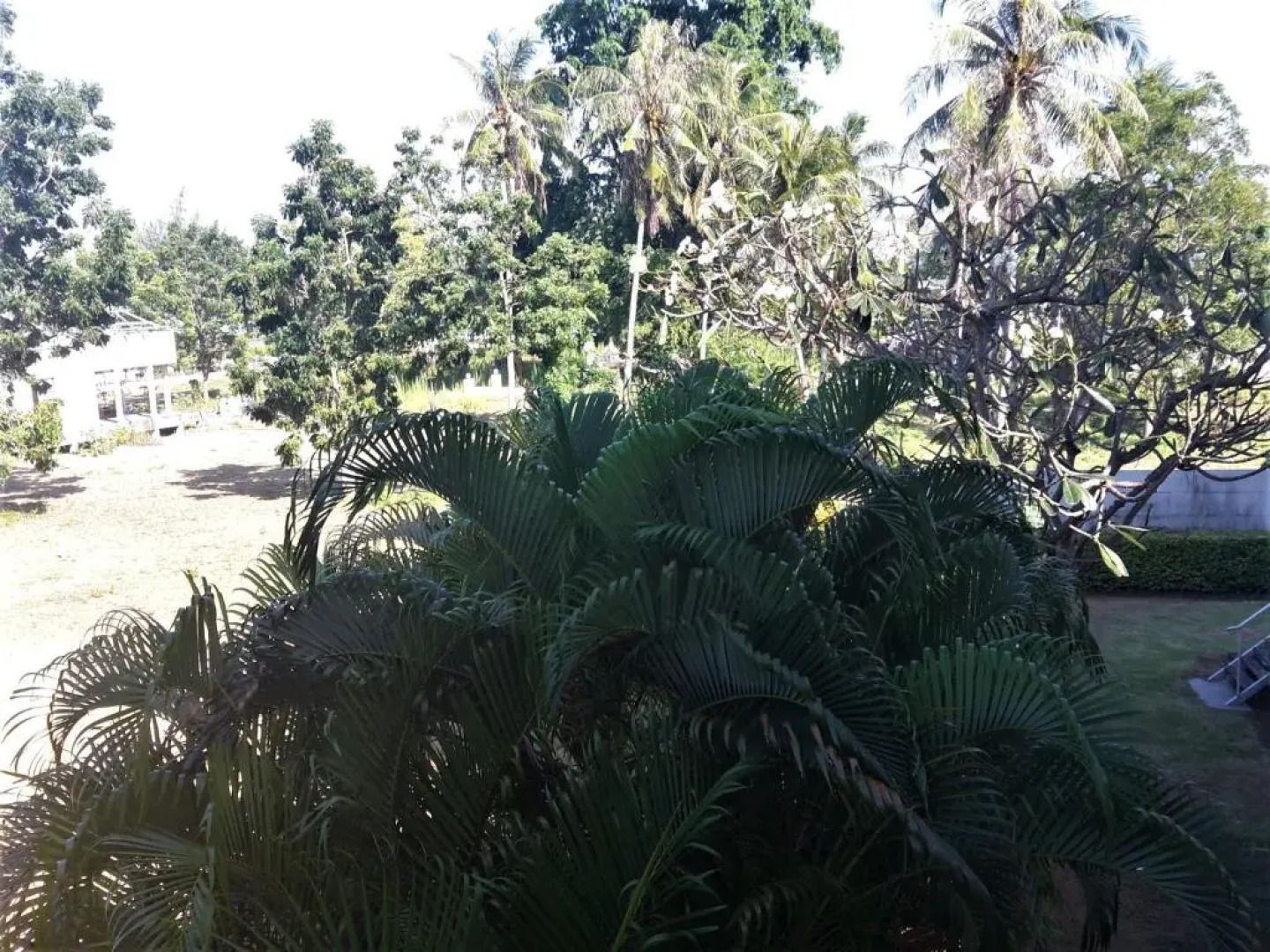 The Sea Condominium 267/50