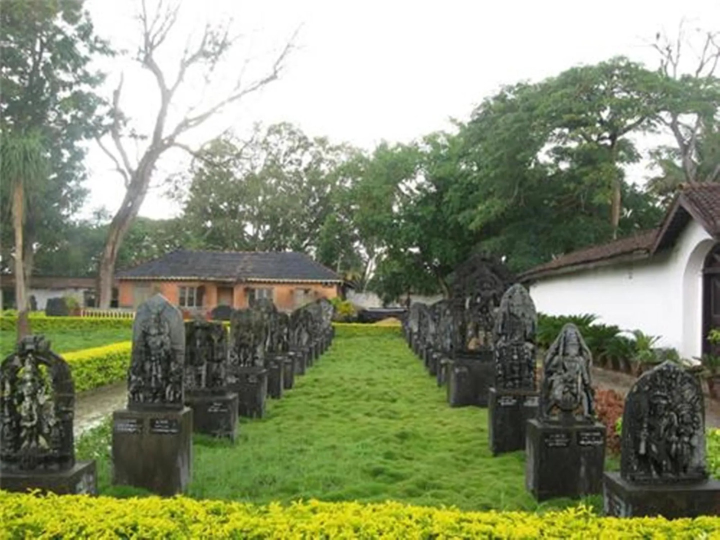 Royal Orchid Central