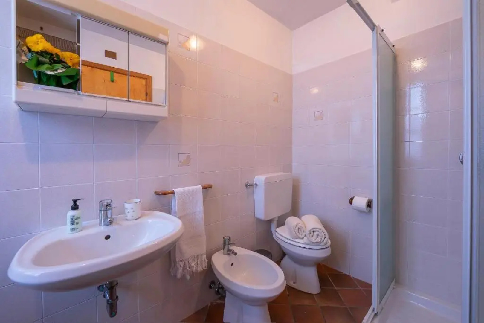 Il Vigneto Sul Lago Vineyard Lake View